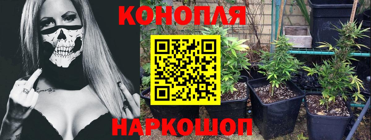 Пугачёв  Бошки Шишки SATIVA & INDICA  Вход с VPN  Канабис VHQ  МАРИХУАНА ГИДРОПОН 
